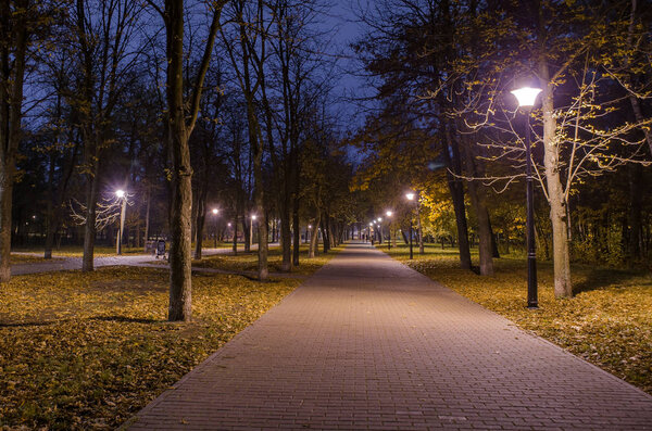 Footpath in the night forest in the park with glowing lanterns. Landscape of night park