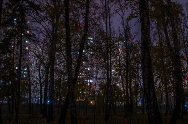 View Multi Storey Houses Thicket Forest — Stock Photo, Image