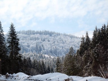 Kar dağ tepeler kaplı. Kış orman arka plan
