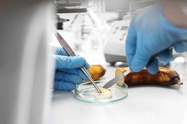 Laboratory Food Testing Laboratory Worker Analyzes Composition Collected Sample — Stock Photo, Image