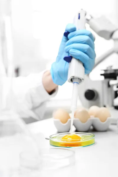 Food biotechnology, egg examination. Testing the quality of eggs in the laboratory.