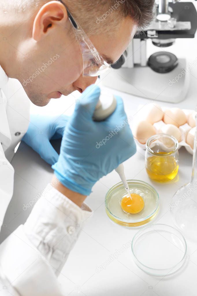 Analysis of the quality of chicken eggs in terms of nutritional value. Testing the quality of eggs in the laboratory.