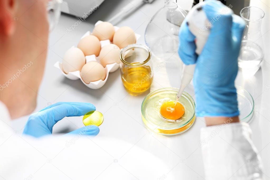 Freshness of eggs. Laboratory examination. Testing the quality of eggs in the laboratory.