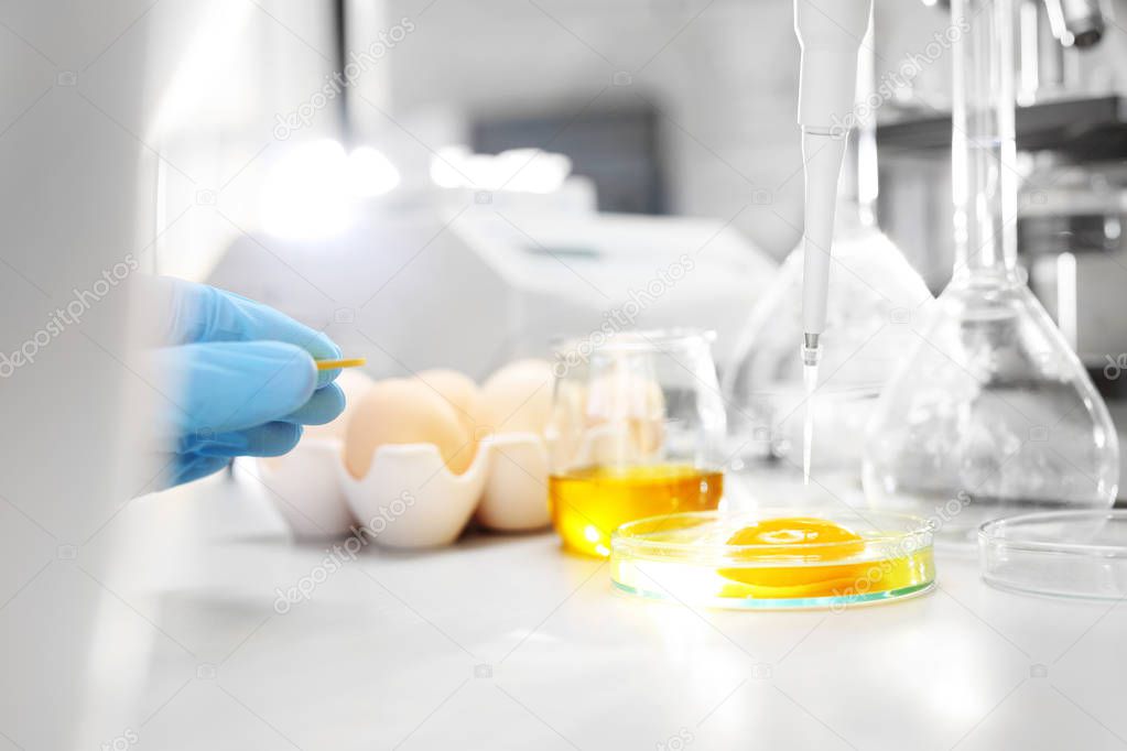 Laboratory tests. Testing the quality of eggs in the laboratory.
