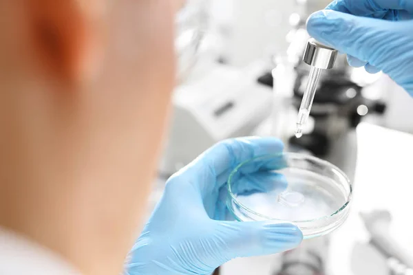 Experiencia Científica Químico Examina Preparación Una Placa Petri Laboratorio — Foto de Stock