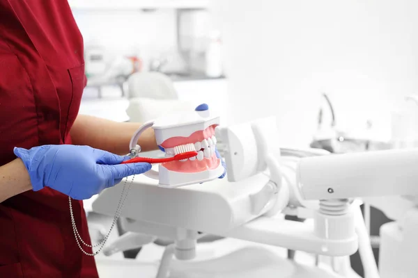 Cepillarse Bien Los Dientes Dentista Muestra Cómo Cepillarse Los Dientes — Foto de Stock