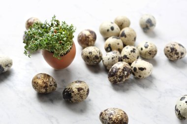 Paskalya yumurta ve kabukları, üstten görünüm ile kompozisyon. Ekolojik stili.