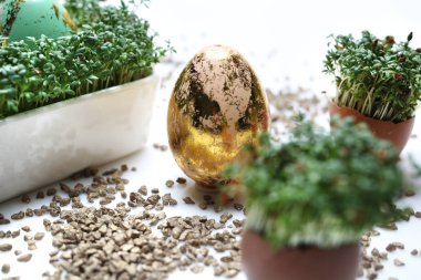 Altın ve mavi yumurta ve kabukları Paskalya kompozisyonu.