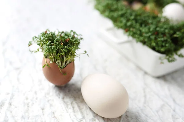Yumurta ve kabukları Paskalya kompozisyonu. — Stok fotoğraf