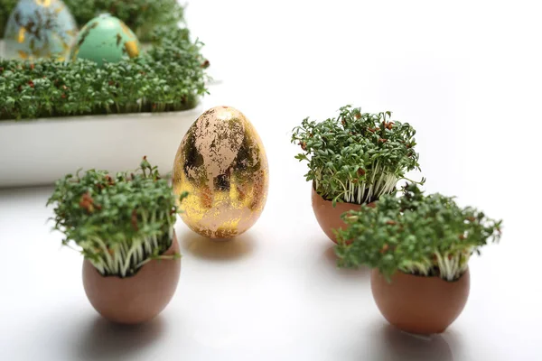 Pasen samenstelling met eieren en schelpen. Ecologische stijl. — Stockfoto