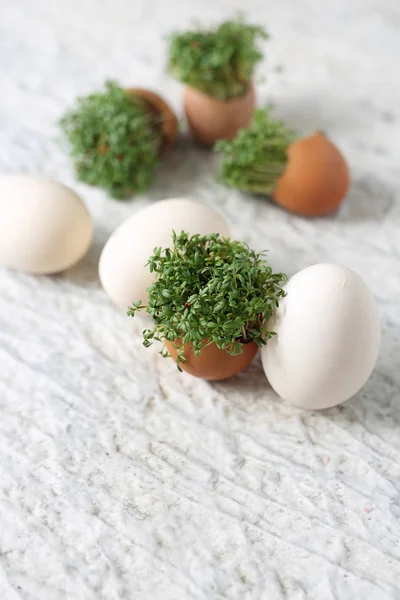 Paskalya yumurta ve kabukları, üstten görünüm ile kompozisyon. Ekolojik stili. — Stok fotoğraf