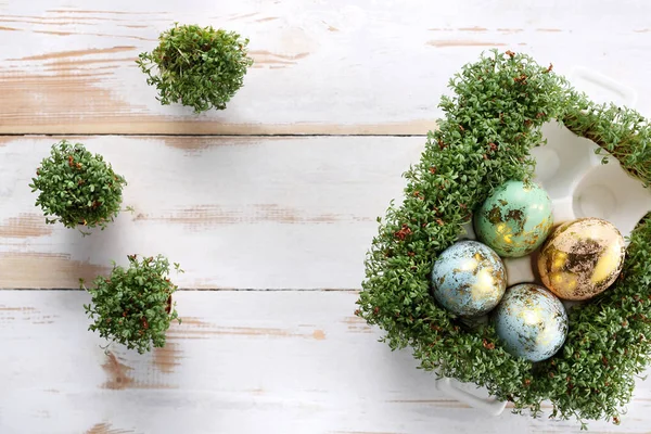 Wielkanoc skład z jaj i muszli. Ekologiczny styl. — Zdjęcie stockowe