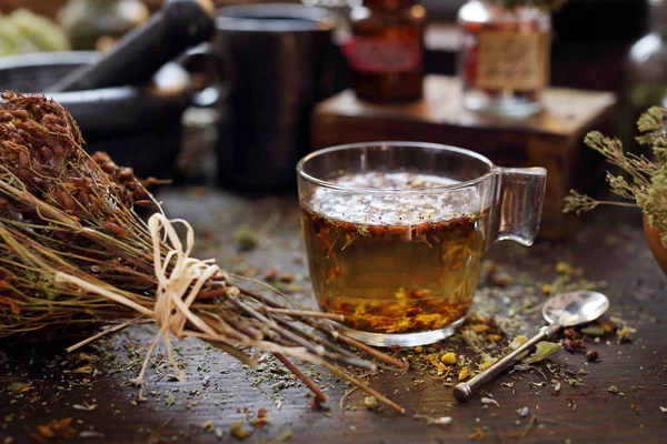 St. Johns wort, herbal tea, alternative medicine herbal medicine. — Stock Photo, Image