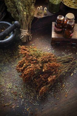 St. Johns wort. Tıpta kurutulmuş otlar ve mutfak.