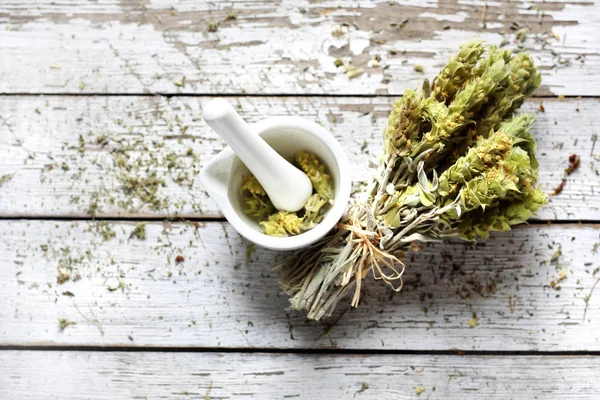 Bergthee, salie Libanese, gedroogde medicinale kruiden — Stockfoto