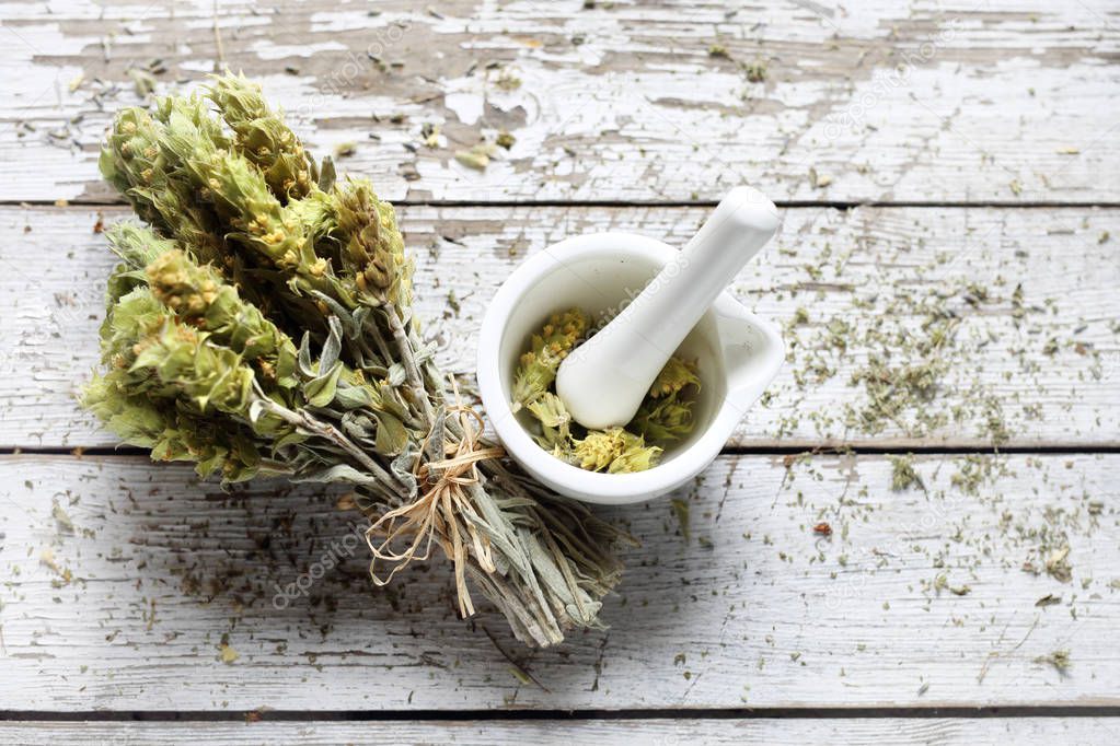 Mountain tea, sage Lebanese,  dried medicinal herbs