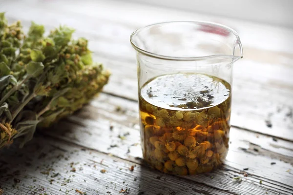 Uma infusão de flores de camomila, chá de ervas — Fotografia de Stock