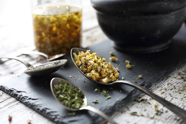 Medicina herbal Camomila, lavanda, rabo de cavalo, urtiga, ervas na medicina tradicional, armário de medicina em casa — Fotografia de Stock