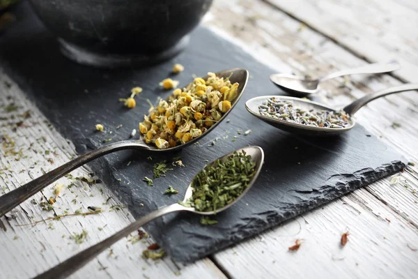 Herbal medicine Chamomile, lavender, horsetail, nettle, herbs in traditional medicine, home medicine cabinet — Stock Image Herbal medicine Chamomile, lavender, horsetail, nettle, herbs in traditional medicine, home medicine cabinet Royalty Free Stock Photos