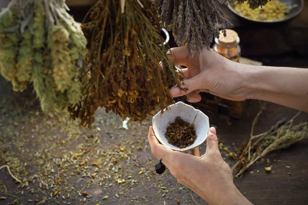 Herbolario. La mujer prepara mezclas de hierbas medicinales . — Foto de Stock