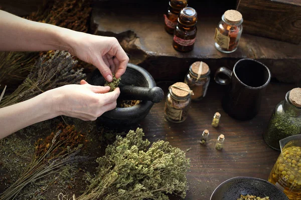 Aceites de hierbas y medicinas naturales. Medicina herbal y medicina alternativa .. —  Fotos de Stock