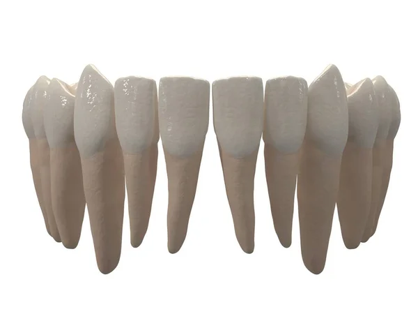 Съемный Ортодонтический Прибор Используется После Ортодонтического Лечения Удержания Рендеринг — стоковое фото
