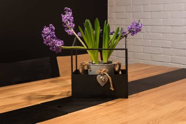 Masanın üzerinde bir tencerede lavanta