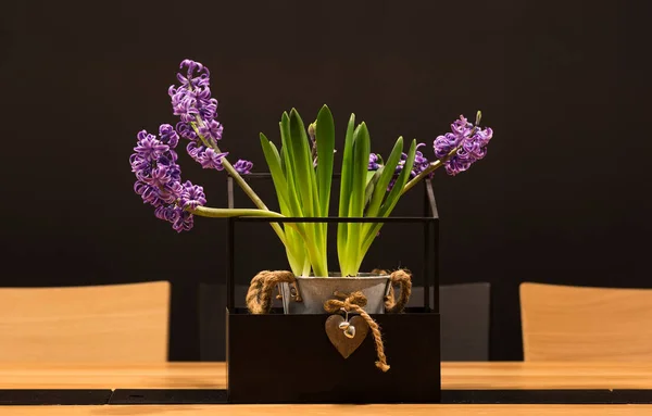 Lavender Pot Table — Stock Photo, Image