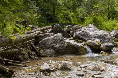 Polonya 'daki Low Tatras' ta Homole Vadisi.