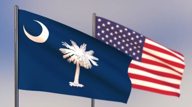 Güney Carolina 3D bayrağı rüzgar sallıyor. 