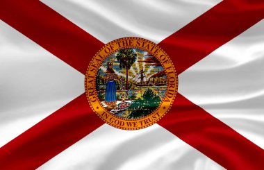 Florida dalgalı bayrak illüstrasyon.