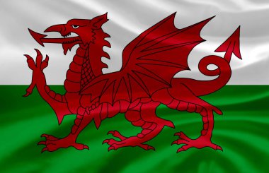 Galler bayrak illüstrasyon sallayarak.