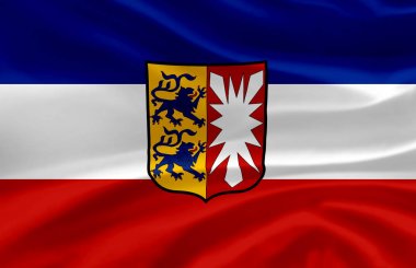 Schleswig-Holstein bayrak illüstrasyon sallayarak.