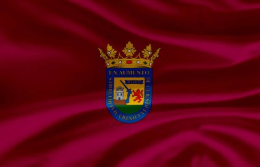 Alava dalgalı bayrak illüstrasyon.