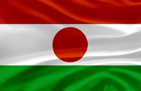 Niger waving flag illustration. — Stock Photo, Image