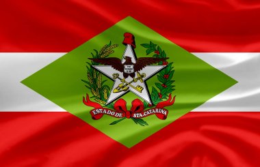 Santa Catarina dalgalı bayrak illüstrasyon.