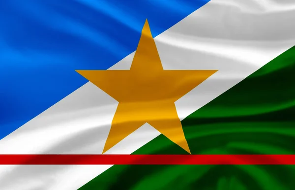 Roraima schwenkt Flagge Illustration. — Stockfoto