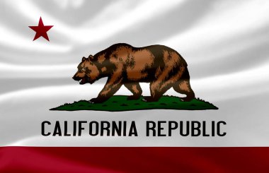 California dalgalı bayrak illüstrasyon.
