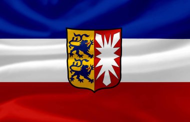 Schleswig-Holstein bayrak illüstrasyon sallayarak.