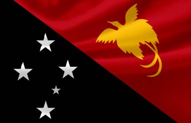 Papua Yeni Gine bayrak illüstrasyon sallayarak.