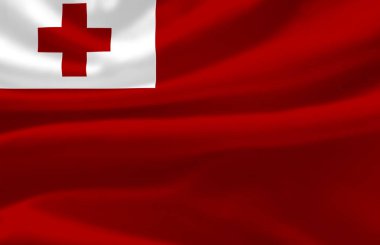 Tonga dalgalı bayrak illüstrasyon.