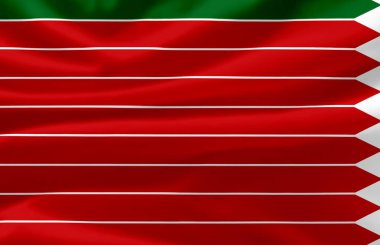 Zamora sallanan bayrak illüstrasyonu.