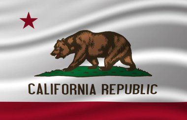 California dalgalı bayrak illüstrasyon.