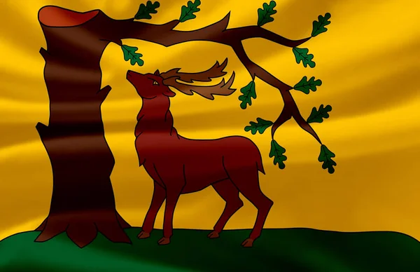 Vlag van Berkshire zwaaien Flag. — Stockfoto