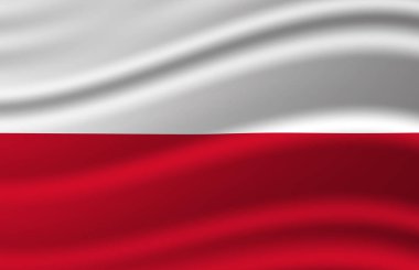 Polonya bayrak illüstrasyon sallayarak.