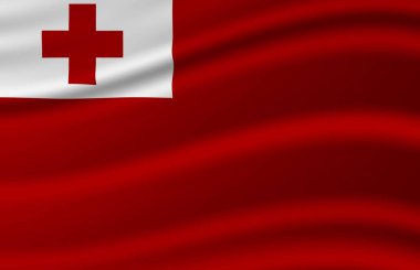 Tonga dalgalı bayrak illüstrasyon.
