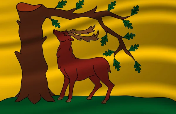Berkshire integetett zászló illusztráció. — Stock Fotó