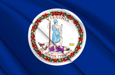 Virginia 3D dalgalı bayrak çizimi.