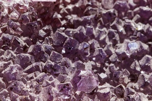 Gemstone Amethyst closeup as a part of cluster geode filled with rock Quartz crystals.