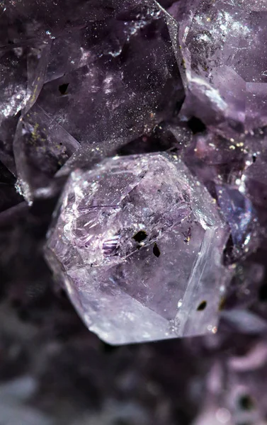 Gemstone Amethyst closeup as a part of cluster geode filled with rock Quartz crystals.